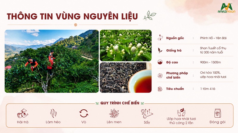 Mai Ly Tuyết Sơn – Trà Shan Tuyết cổ thụ dành cho pha chế chuyên nghiệp