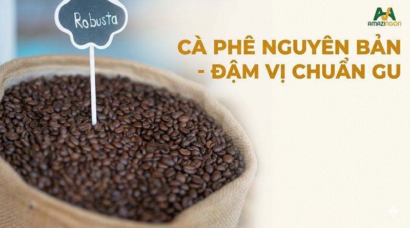 Robusta Việt Nam là lựa chọn phổ biến nhờ giá thành hợp lý