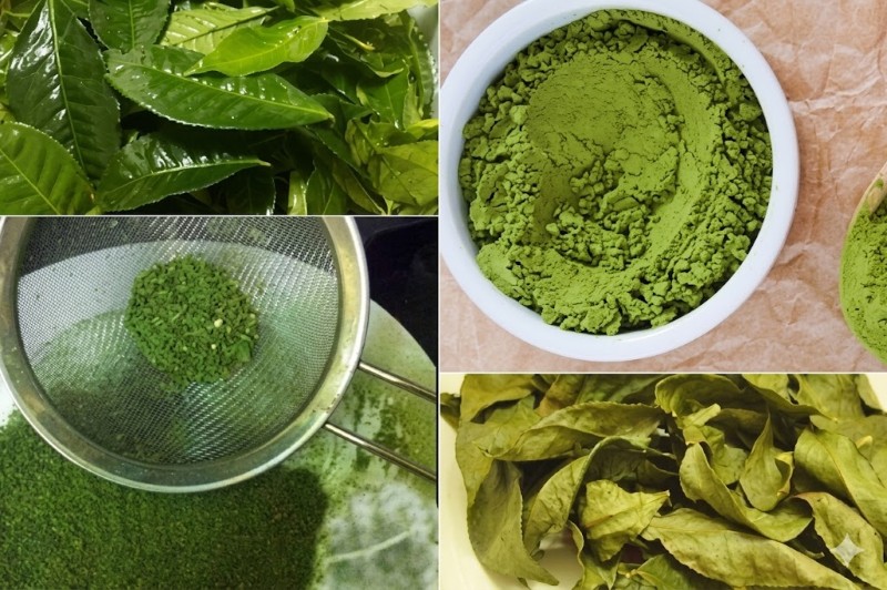 Bột trà xanh là sản phẩm nghiền từ lá trà xanh đã sấy khô Bột trà xanh là sản phẩm nghiền từ lá trà xanh đã sấy khô