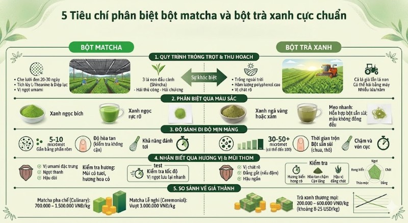 Bảng so sánh 5 tiêu chí phân biệt bột matcha và bột trà xanh Bảng so sánh 5 tiêu chí phân biệt bột matcha và bột trà xanh