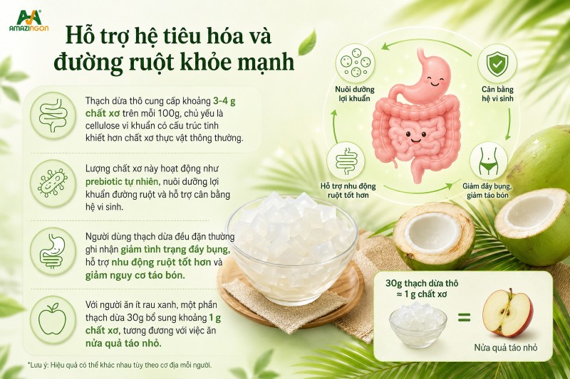 Thạch dừa thô có tốt không? Sản phẩm cung cấp cellulose vi khuẩn giúp hỗ trợ hệ tiêu hóa