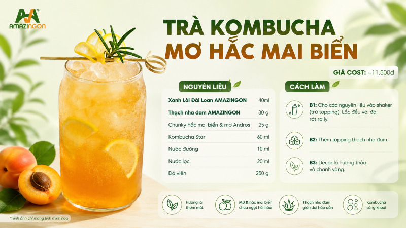Công thức pha chế trà Kombucha mơ hắc mai biển AMAZINGON chuẩn vị từ AMAZINGON