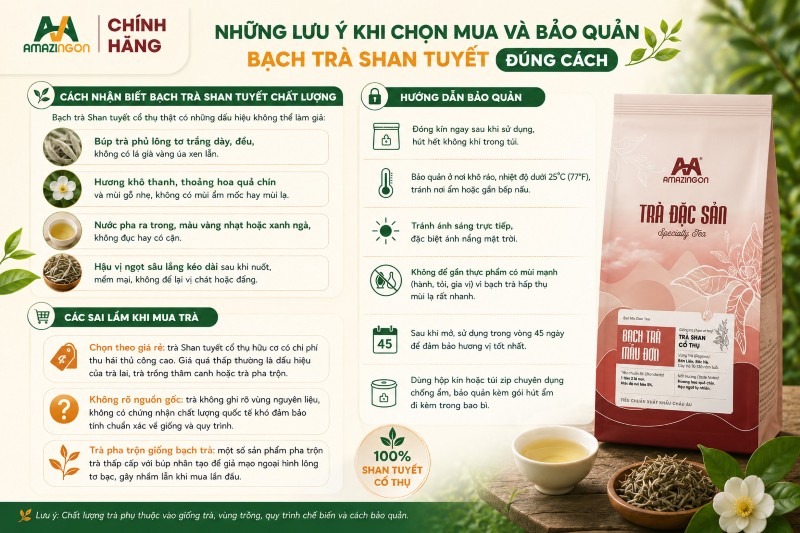 Những lưu ý khi chọn mua và bảo quản bạch trà Shan tuyết 