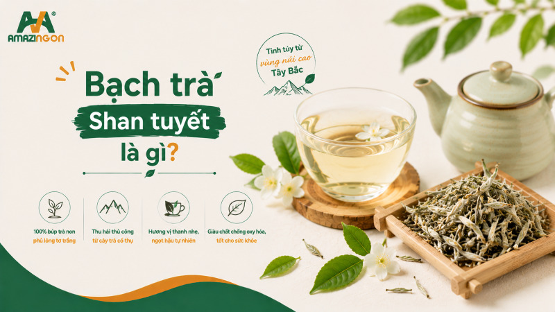 bạch trà shan tuyết