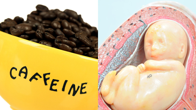 Ảnh hưởng của caffeine đến sự phát triển thai nhi trong thai kỳ Ảnh hưởng của caffeine đến sự phát triển thai nhi trong thai kỳ