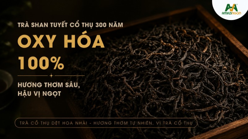 Hồng trà shan Tuyết cổ thụ
