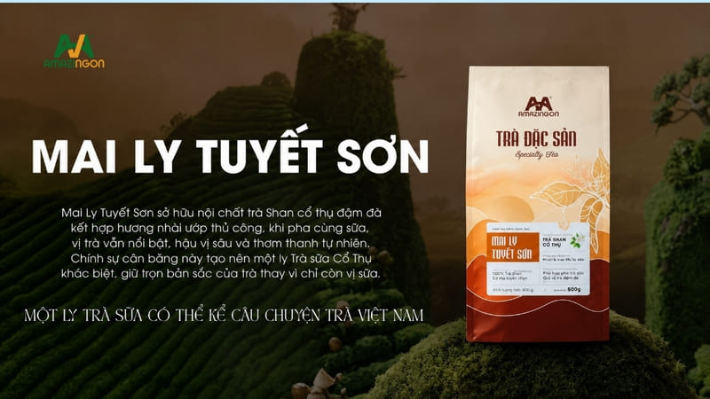 Trà đặc sản Mai Ly Tuyết Sơn của AMAZINGON Trà đặc sản Mai Ly Tuyết Sơn của AMAZINGON