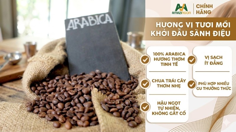 Hạt cà phê Arabica được canh tác theo tiêu chuẩn hữu cơ