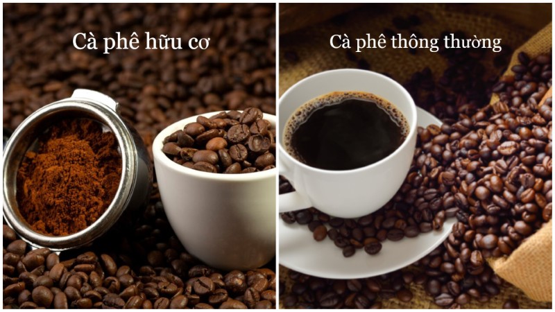 Sự khác nhau của cà phê hữu cơ và cà phê thường Sự khác nhau của cà phê hữu cơ và cà phê thường