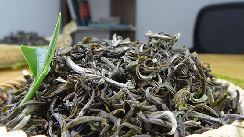 Búp trà shan tuyết Suối Giàng phủ lông tuyết trắng đặc trưng