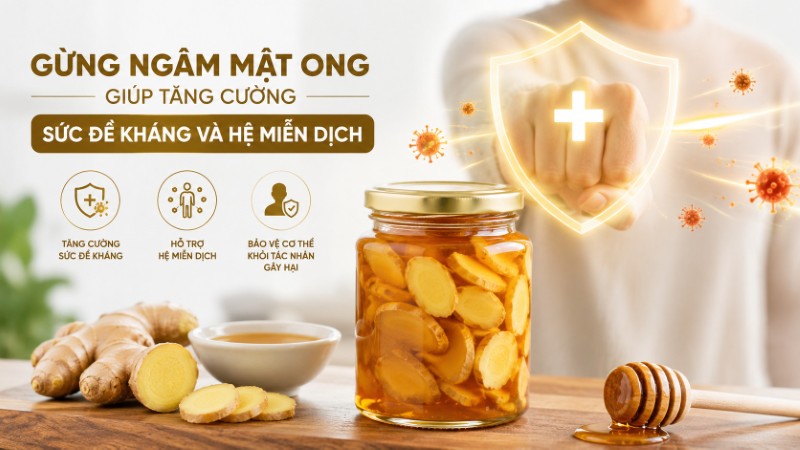Gừng ngâm mật ong giúp tăng cường sức đề kháng và hệ miễn dịch Gừng ngâm mật ong giúp tăng cường sức đề kháng và hệ miễn dịch
