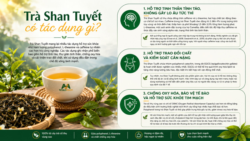 Lợi ích sức khỏe của hồng trà Shan Tuyết cổ thụ