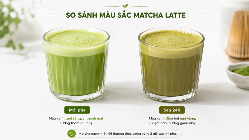 Quá trình oxy hóa làm màu xanh tươi của Matcha Latte chuyển sang xanh đậm sau 12-24 giờ bảo quản