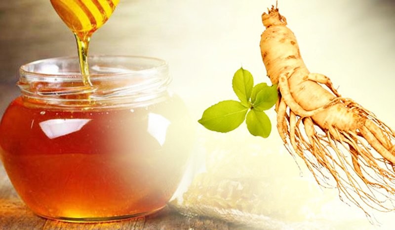Sâm ngâm mật ong có tác dụng gì?