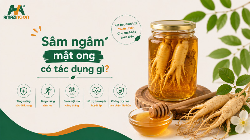 sâm ngâm mật ong có tác dụng gì