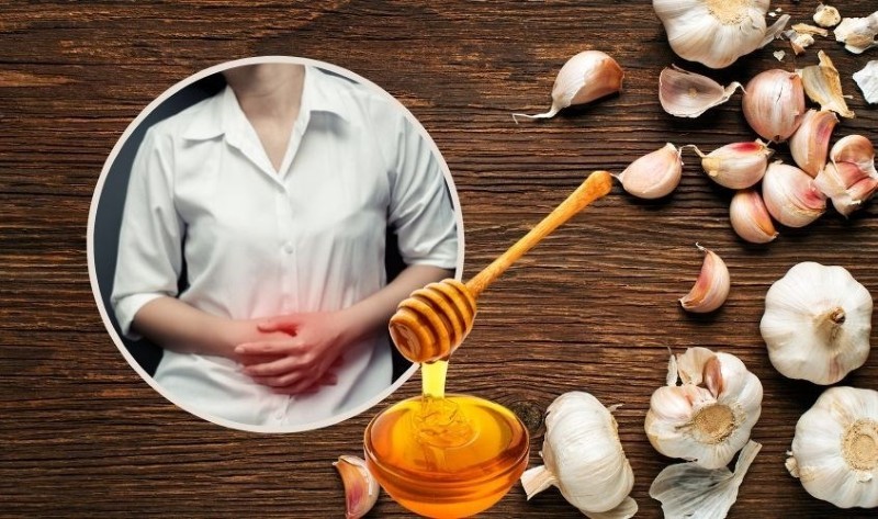Tỏi ngâm mật ong giúp hỗ trợ tiêu hóa và khó chịu đường ruột Tỏi ngâm mật ong có tác dụng gì? Tỏi ngâm mật ong giúp hỗ trợ tiêu hóa và khó chịu đường ruột