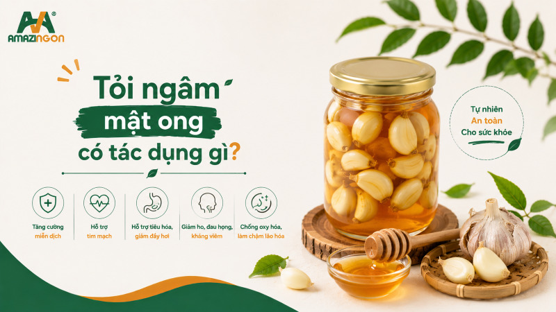 Cách uống tỏi ngâm mật ong mang lại hiệu quả cao nhất