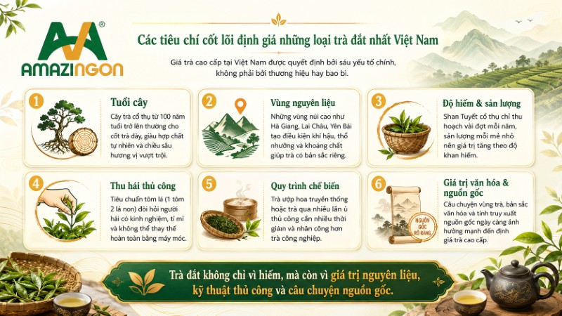 Các tiêu chí cốt lõi định giá những loại trà đắt nhất Việt Nam