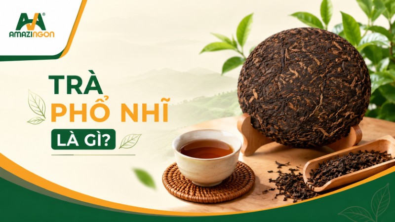 trà phổ nhĩ