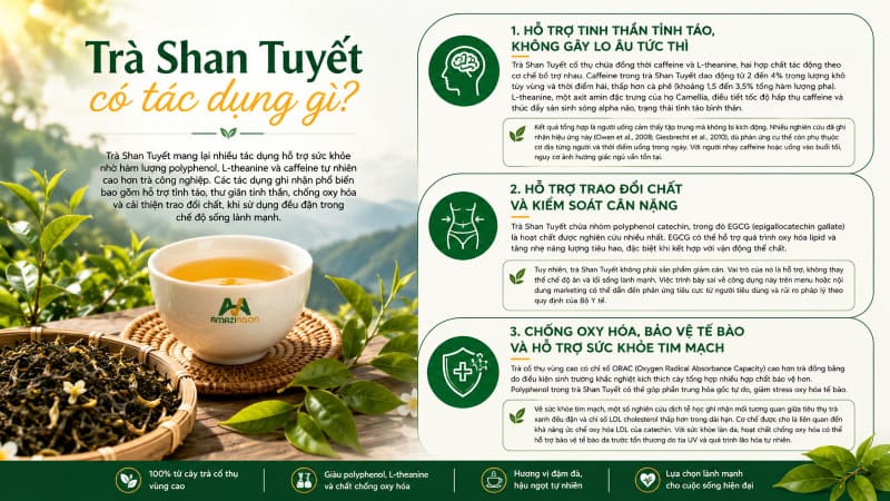 Trà Shan Tuyết có tác dụng gì? 3 tác dụng của trà shan tuyết đối với sức khỏe