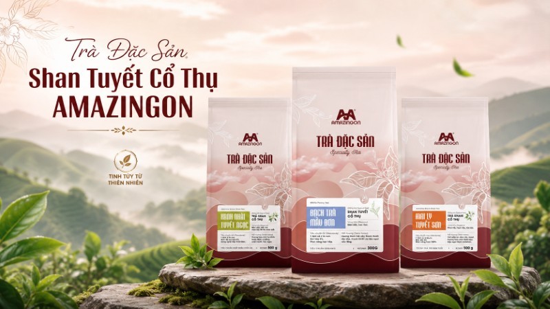 Trà Shan Tuyết AMAZINGON nguyên liệu cho hệ thống Horeca