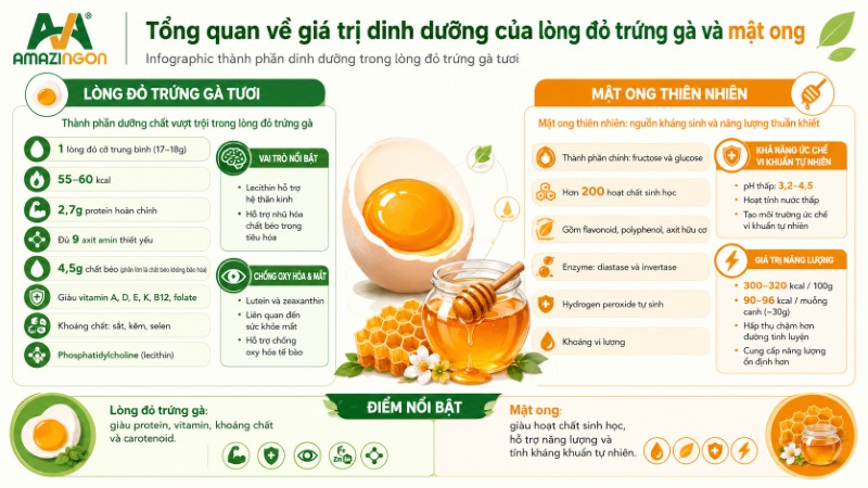 Thành phần dinh dưỡng trong lòng đỏ trứng gà tươi và mật ong