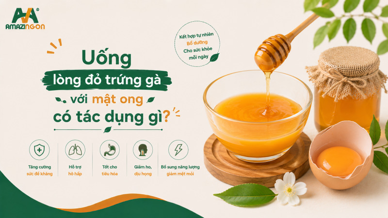 uống lòng đỏ trứng gà với mật ong có tác dụng gì