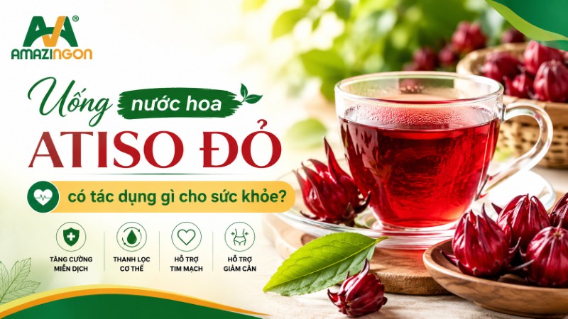 uống nước hoa atiso đỏ có tác dụng gì