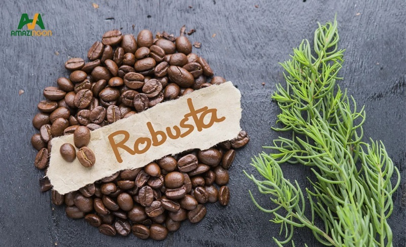 Hạt cà phê Robusta từ 100% cà phê sạch Hạt cà phê Robusta từ 100% cà phê sạch