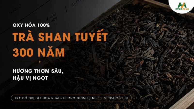 Trà Shan Tuyết cổ thụ - “ứng cử viên” hoàn hảo cho cold brew Trà Shan Tuyết cổ thụ - “ứng cử viên” hoàn hảo cho cold brew