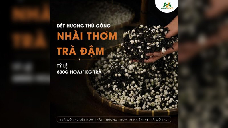 Mai Ly Tuyết Sơn dòng trà đặc sản từ lá trà Shan tuyết cổ thụ hơn 300 kết hợp hoa nhài tươi ướp đêm