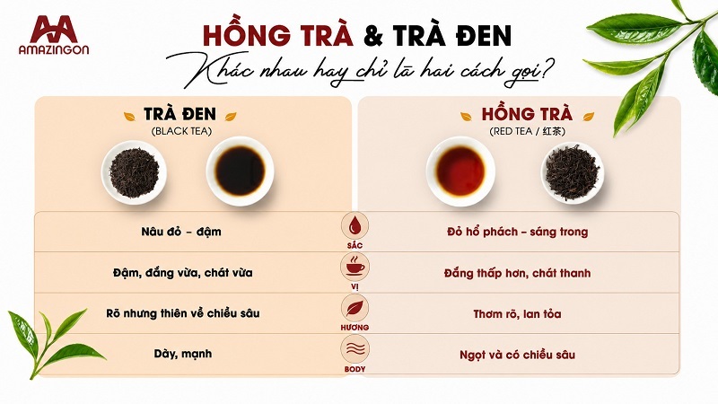 hồng trà và trà đen