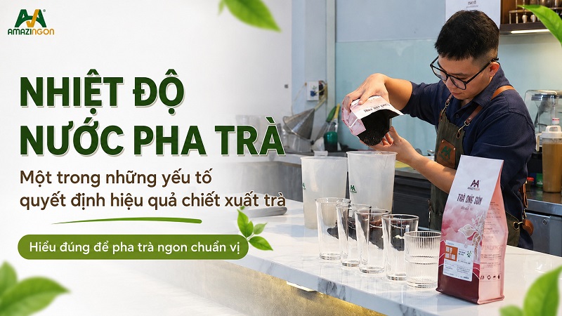 Nhiệt độ nước pha trà - Một trong những yếu tố quyết định hiệu quả chiết xuất trà