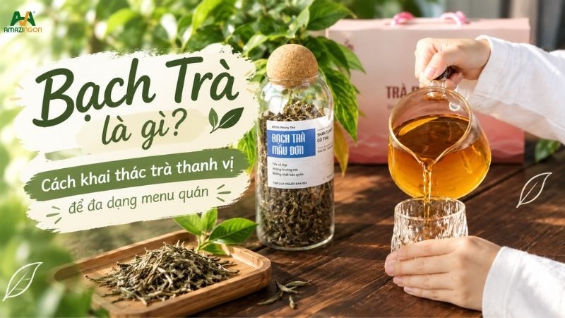 bạch trà là gì