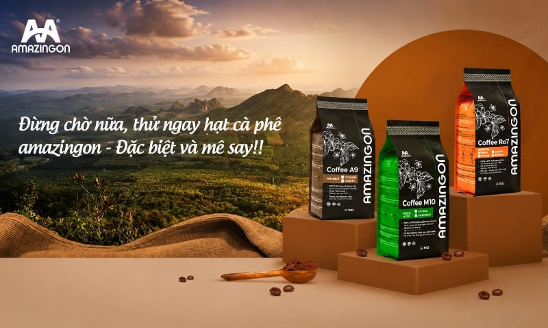 Cà phê AMAZINGON nguyên chất 100% từ nông sản Việt