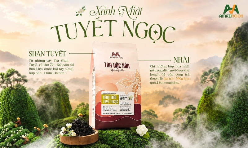 Trà đặc sản Xanh Nhài Tuyết Ngọc AMAZINGON từ chè shan tuyết Bản Liền Trà đặc sản Xanh Nhài Tuyết Ngọc AMAZINGON từ chè shan tuyết Bản Liền