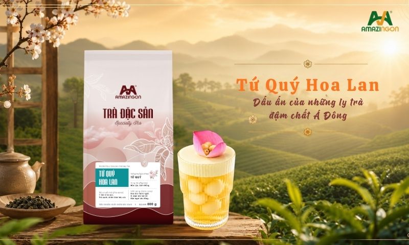 Trà đặc sản Tứ quý hoa lan AMAZINGON