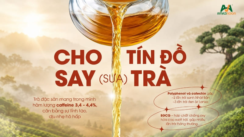 Hương trà đậm vị cân bằng cho thức uống 